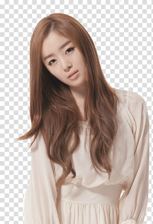 sunhwa transparent background PNG clipart