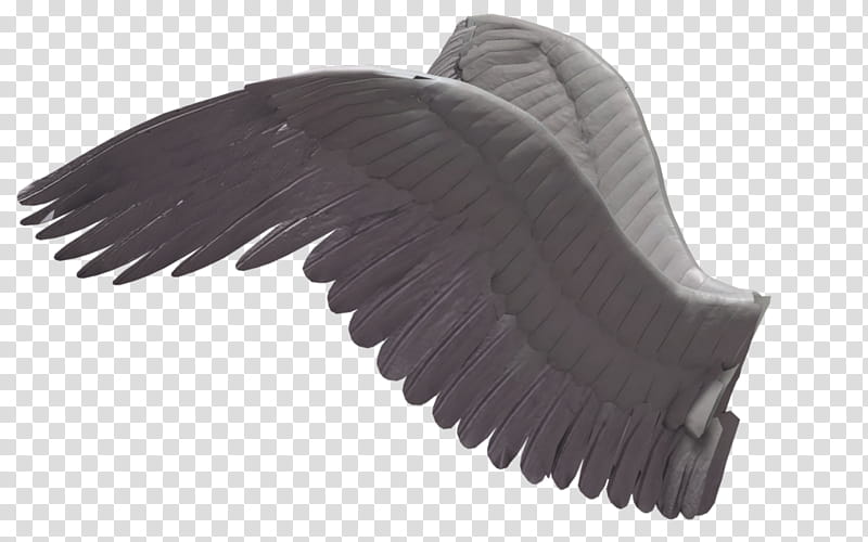 Recursos Alas De Angel , white angel wing illustration transparent background PNG clipart