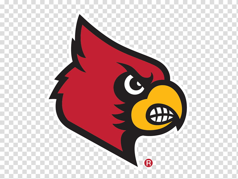 American Football, University Of Louisville, Louisville Cardinals Mens Basketball, Louisville Cardinals Football, Ncaa Division I Mens Basketball, Louisville Cardinals Womens Basketball, Louisville Cardinals Baseball, Ncaa Division I Football Bowl Subdivision transparent background PNG clipart