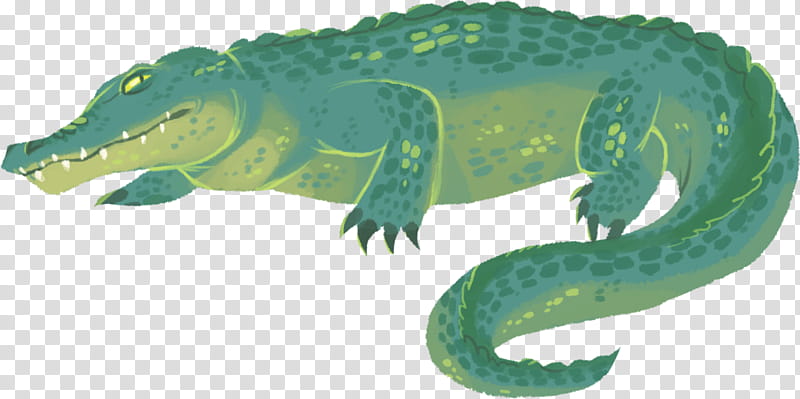Alligator, Alligators, Crocodile, Reptile, Gharial, Artist, Caiman, Vinsmoke Family transparent background PNG clipart