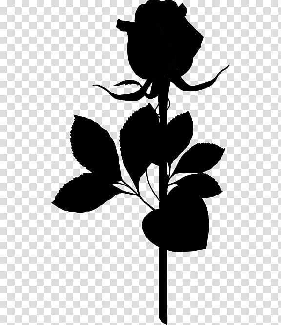 Valentines Day, Flower, Floral Design, Animation, Rose, Drawing, Garden Roses, Petal transparent background PNG clipart