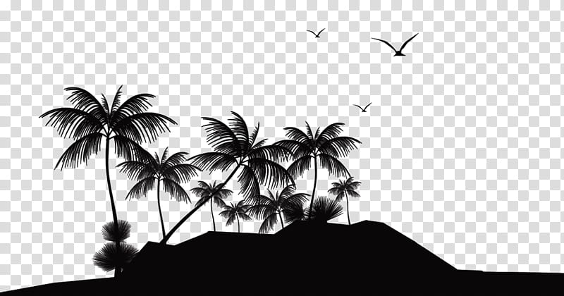 Palm Tree Silhouette, Tropical Islands, Palm Islands, Tyssen Islands, Silhouette Island, Swan Islands Falkland Islands, Beach, Resort Island transparent background PNG clipart