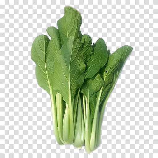 Green Leaf, Choy Sum, Chinese Cabbage, Greens, Collard, Vegetable, Chinese Cuisine, Spring Greens transparent background PNG clipart