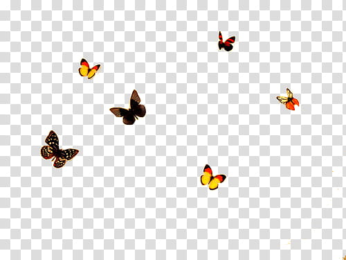 Adventure Awaits, six assorted-color butterflies transparent background PNG clipart
