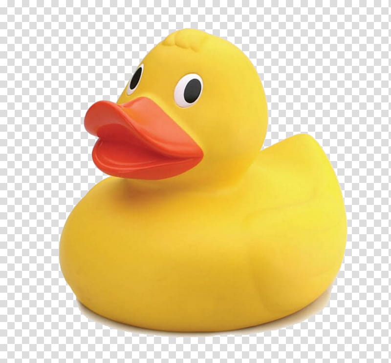 Duck, Rubber Duck, 2018, Quackery, Homeopathy, Death, Oscillococcinum, Sciencebased Medicine transparent background PNG clipart