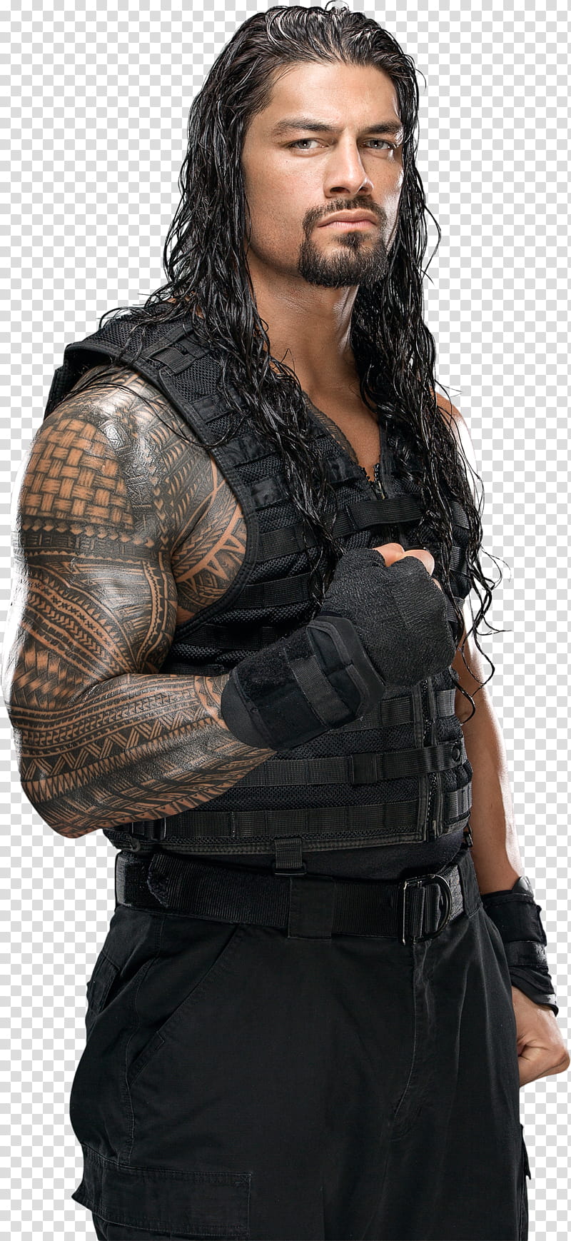 Roman Reigns Shield Attire  transparent background PNG clipart