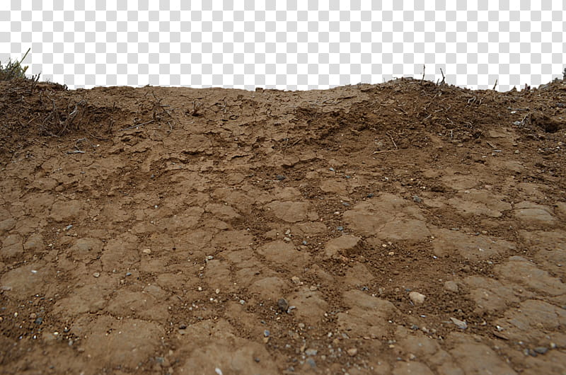 Cracked Earth DSC , soil transparent background PNG clipart