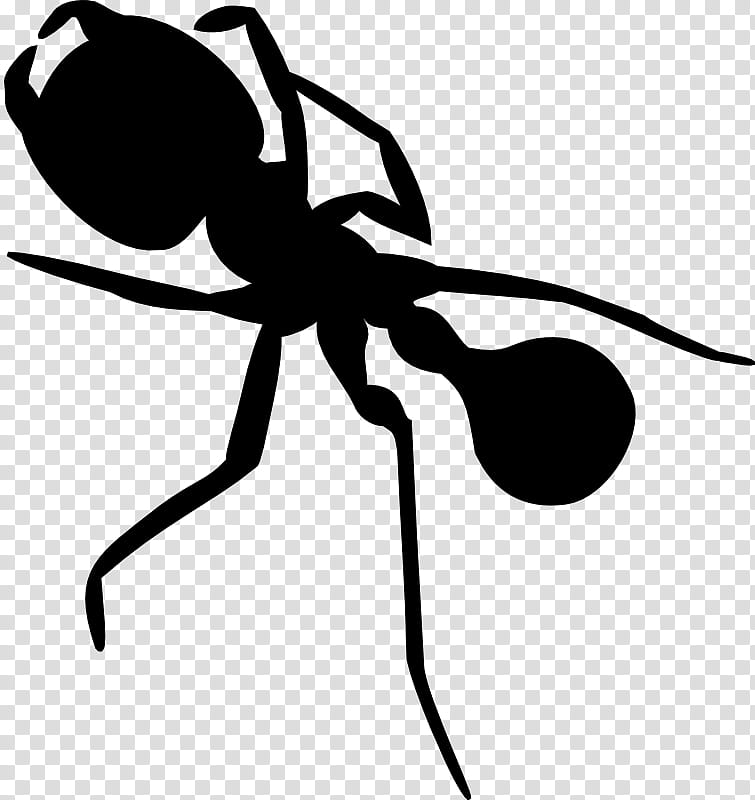 Spider, Insect, Silhouette, Line, Ant, Pest, Carpenter Ant, Membranewinged Insect transparent background PNG clipart