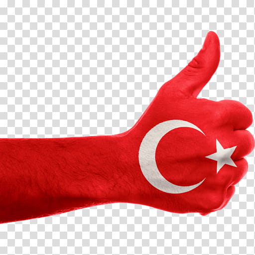 Flag, Turkey, Flag Of Turkey, Flag Of Azerbaijan, History Of The Republic Of Turkey, Flag Of The Czech Republic, Flags Of The World, National Flag transparent background PNG clipart