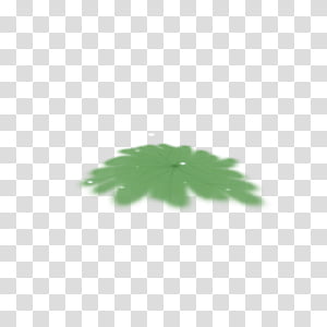 green leaf illustration transparent background PNG clipart thumbnail