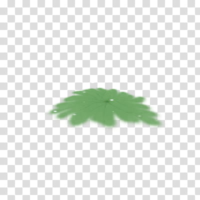 green leaf illustration transparent background PNG clipart green leaf illustration transparent background PNG clipart