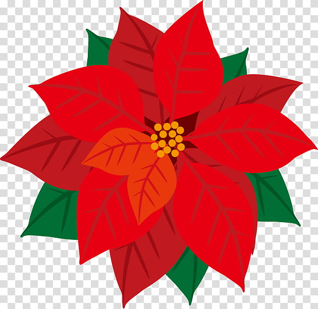 Christmas Winter, Poinsettia, Drawing, Poster, Season, Christmas Day, Dahlia, Winter transparent background PNG clipart
