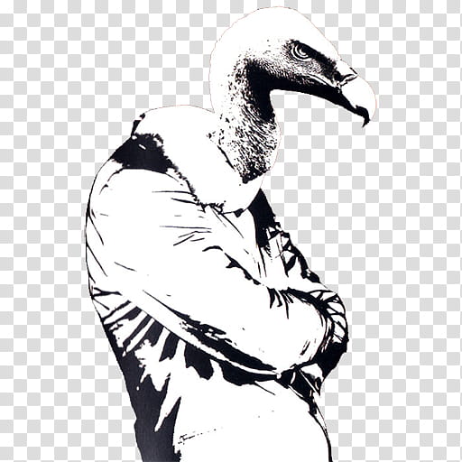 Music Icon , Them Crooked Vultures transparent background PNG clipart