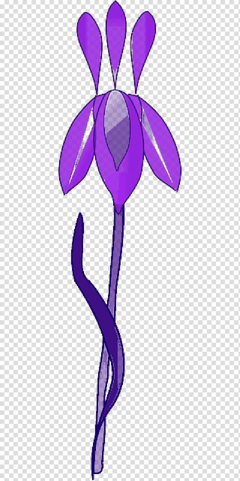 Blue Iris Flower, Northern Blue Flag, Iris Flower Data Set, Yellow Iris, Drawing, Plants, Curtiss Botanical Magazine, Irises transparent background PNG clipart