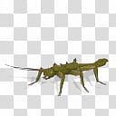 Spore creature Trachyaretaon brueckneri m transparent background PNG clipart