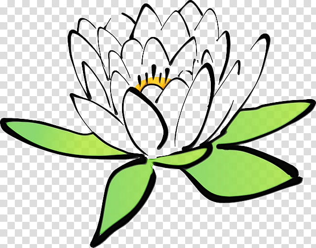 Lily Flower, Nymphaea Nelumbo, Drawing, Painting, Leaf, Petal, Lotus Family, Plant transparent background PNG clipart
