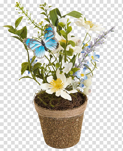 flower flowering plant flowerpot plant houseplant, Cut Flowers, Mock Orange, Buddleia, Bouquet, Dendrobium transparent background PNG clipart