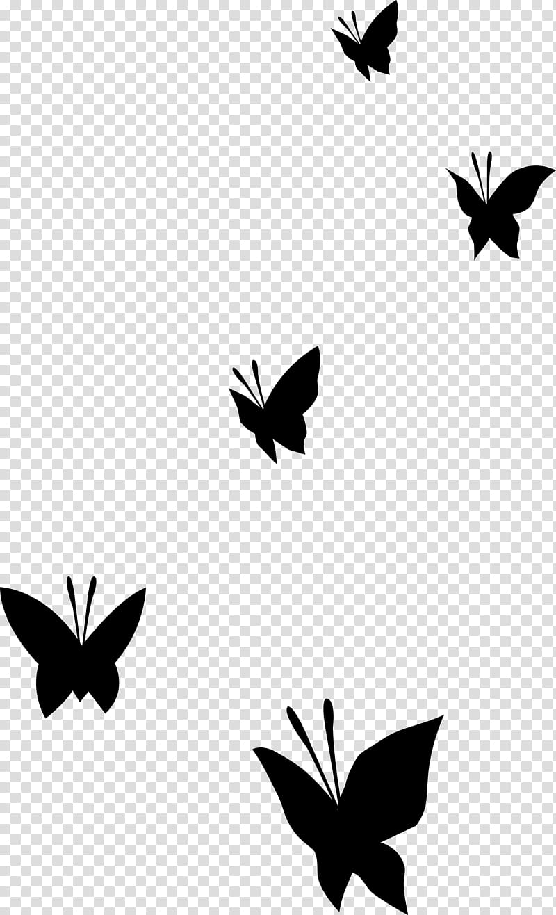 Cartoon Nature, Monarch Butterfly, Drum, Brushfooted Butterflies, Big Drum, Percussion Mallets, Baseball, Silhouette transparent background PNG clipart