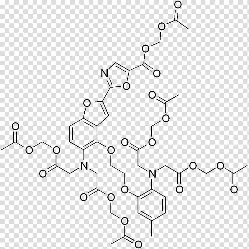 Chemistry, University Of Naples Federico Ii, Amine, Pyridine, Alkyl, Methyl Group, Phenyl Group, Base transparent background PNG clipart