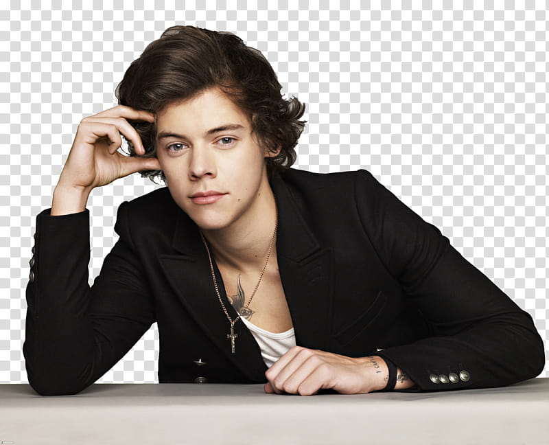 Harry Styles transparent background PNG clipart