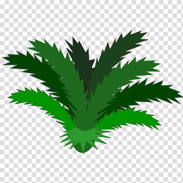 Palm Tree, Tropical Rainforest, Tropical Vegetation, Jungle, Plants, Tropics, Temperate Rainforest, Tropical Rainforest Climate transparent background PNG clipart