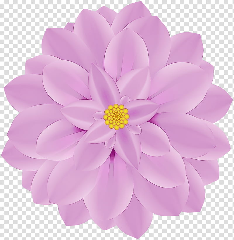 Dahlia Chrysanthemum Common lilac Flower Drawing, Watercolor, Paint, Wet Ink, Violet, Petal, Pink, Purple transparent background PNG clipart