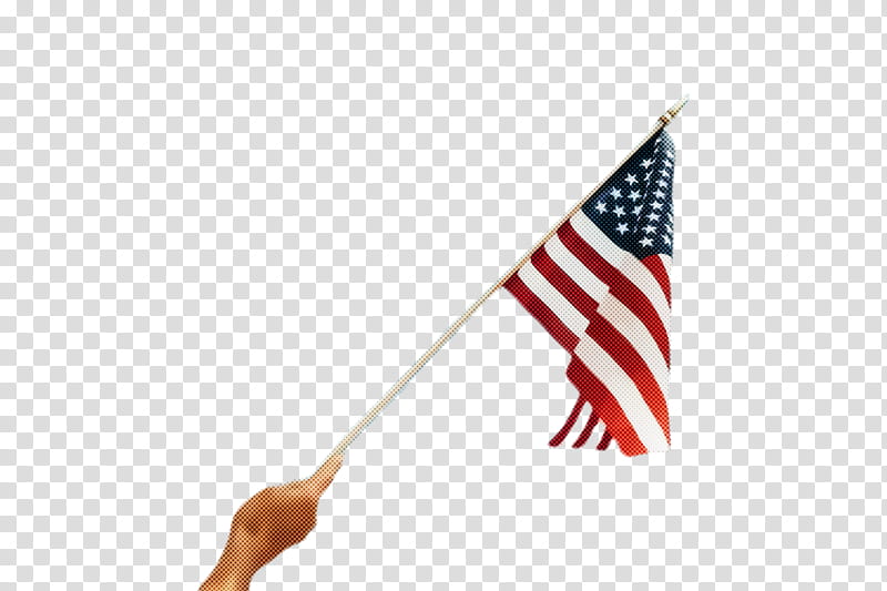 Veterans day, Flag, Flag Of The United States, Flag Day Usa transparent background PNG clipart