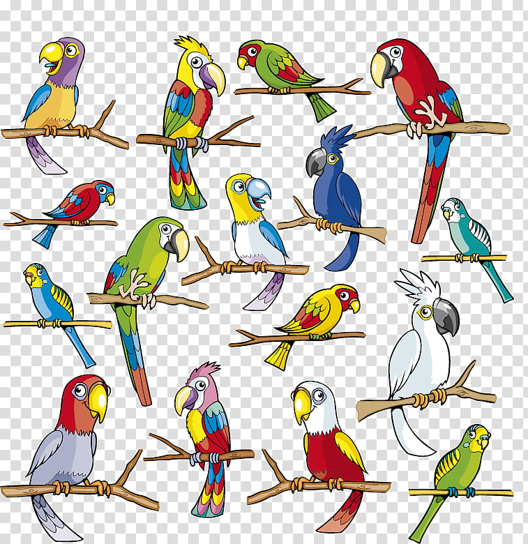 Bird Parrot, Cartoon, Cuteness, Painting, Animal, Macaw, Beak, Bird Supply transparent background PNG clipart