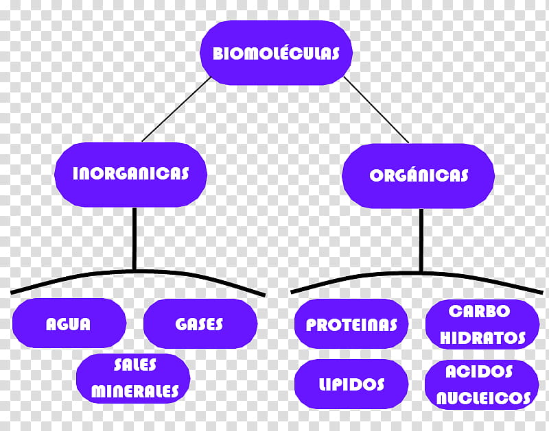 Chemistry, Biomolecule, Life, Beslenme, Angle, Organization, Matter, Email Attachment transparent background PNG clipart