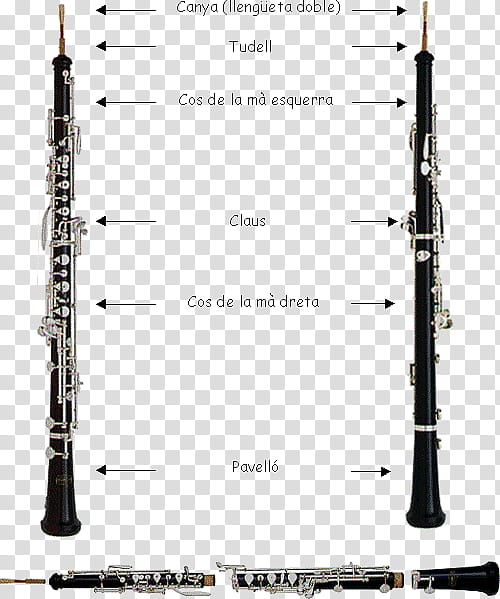 Wind, Cor Anglais, Clarinet, Bass Oboe, Piccolo, Musical Instruments ...