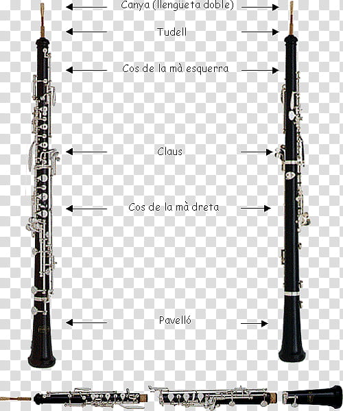 Wind, Cor Anglais, Clarinet, Bass Oboe, Piccolo, Musical Instruments, Woodwind Instrument, Canya transparent background PNG clipart