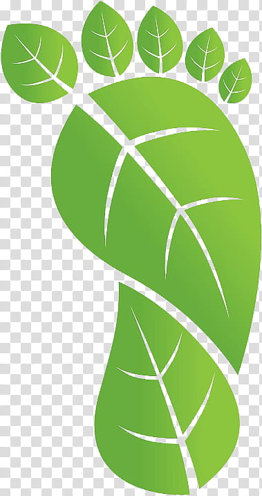 Green Leaf, Carbon Footprint, Ecological Footprint, Ecology, Carbon Dioxide, Natural Environment, Terrapass, Sustainability transparent background PNG clipart