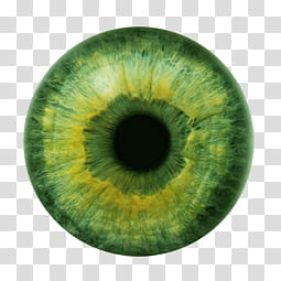 Iris , round green eye transparent background PNG clipart