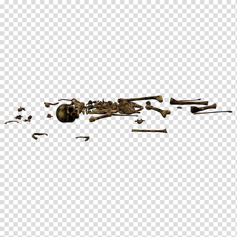 Bonez, human skeleton transparent background PNG clipart