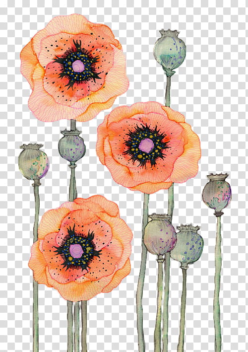 Watercolor Floral s, orange flowers in bloom illustration transparent background PNG clipart