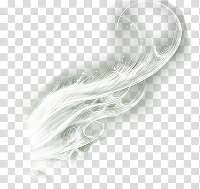 Alas transparent background PNG clipart