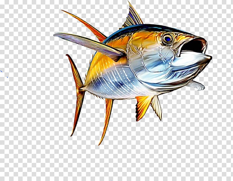 Fishing, Tuna Salad, Yellowfin Tuna, Seafood, Wahoo, Bigeye Tuna, Mahimahi, Atlantic Bluefin Tuna transparent background PNG clipart