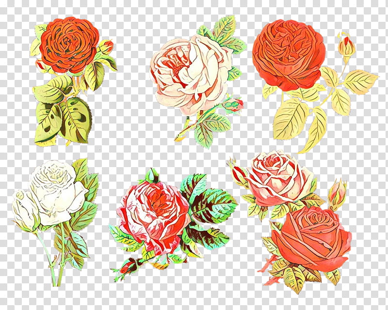 Pink Flower, Garden Roses, Floral Design, Cut Flowers, Cabbage Rose, Tshirt, Artificial Flower, Flower Bouquet transparent background PNG clipart