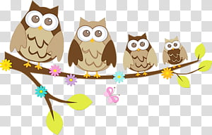 Little owl Drawing Bird, Watercolor, Paint, Wet Ink, Barn Owl, Owlet, Line Art, Branch transparent background PNG clipart thumbnail