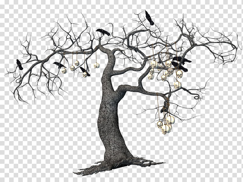 Crows Mega , bare tree with birds and hanging skulls illustration transparent background PNG clipart