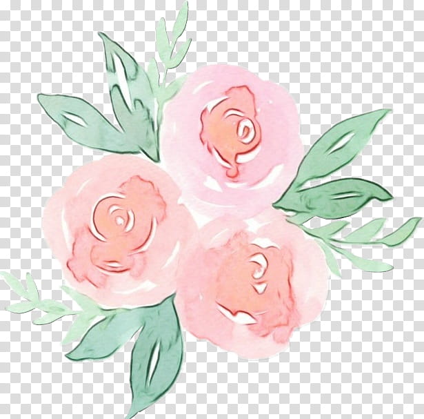 Watercolor Pink Flowers, Paint, Wet Ink, Garden Roses, Floral Design, Cut Flowers, Fairy, Petal transparent background PNG clipart