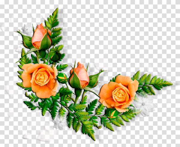 Flowers In Vase, BORDERS AND FRAMES, Floral Design, 2018, Cut Flowers, Rose Family, Garden Roses, Plant transparent background PNG clipart