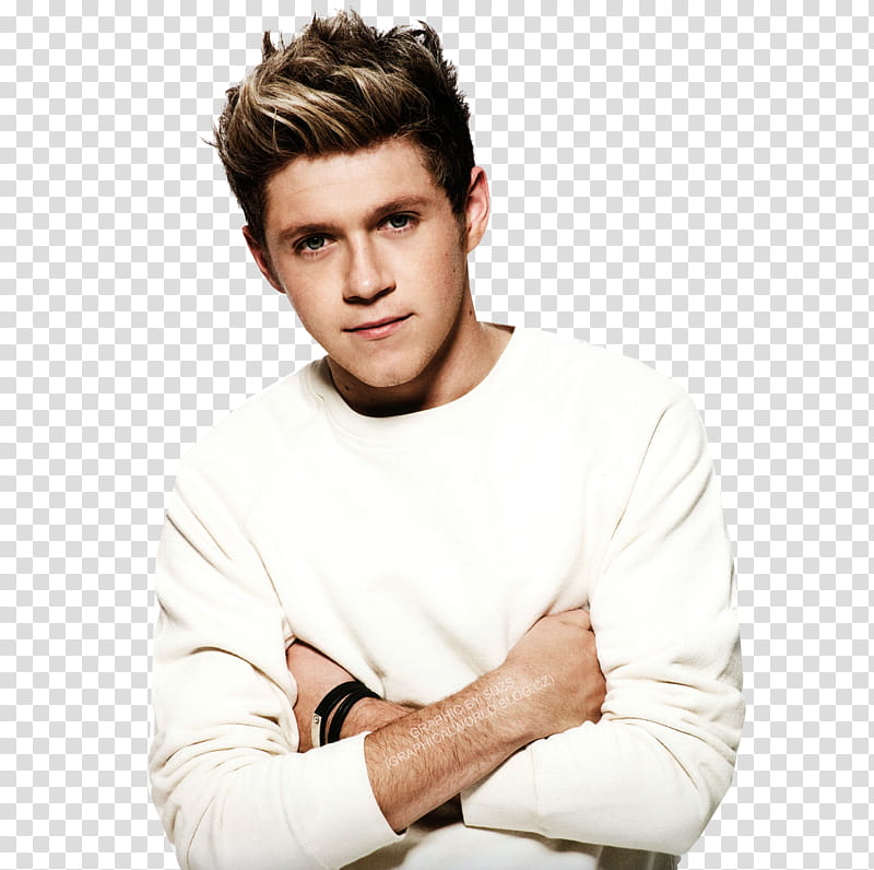 One Direction, Niall Horan transparent background PNG clipart