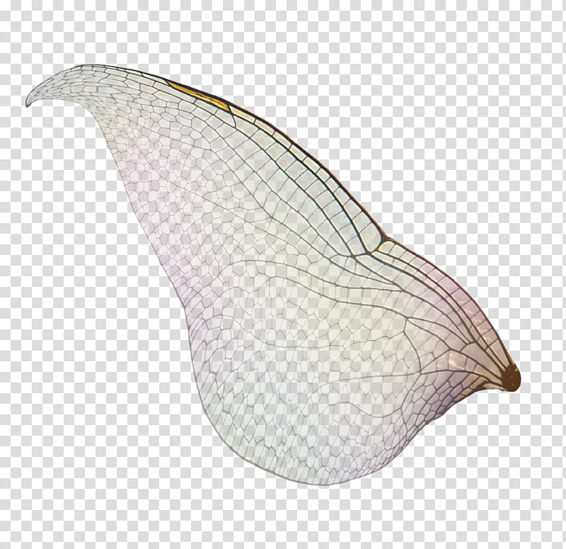 FAERY WINGS  All Things Precious transparent background PNG clipart