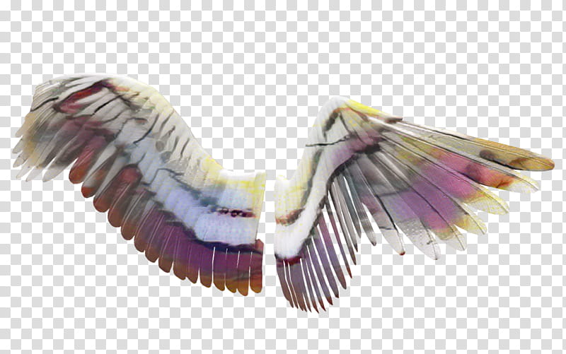 Bird Wing, Purple, Feather, Seabird transparent background PNG clipart