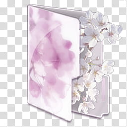 Hanami Folders, hanami_, white orchid flower transparent background PNG clipart