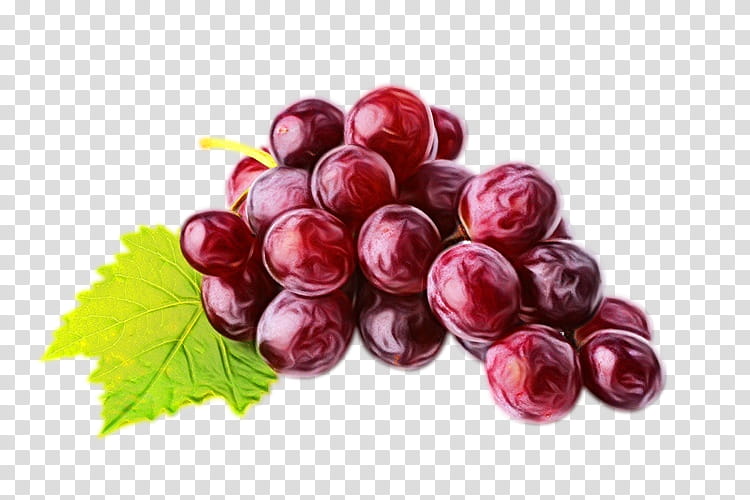 Watercolor Leaves, Common Grape Vine, Juice, Wine, Red Wine, White Wine, Verjuice, Grape Juice transparent background PNG clipart