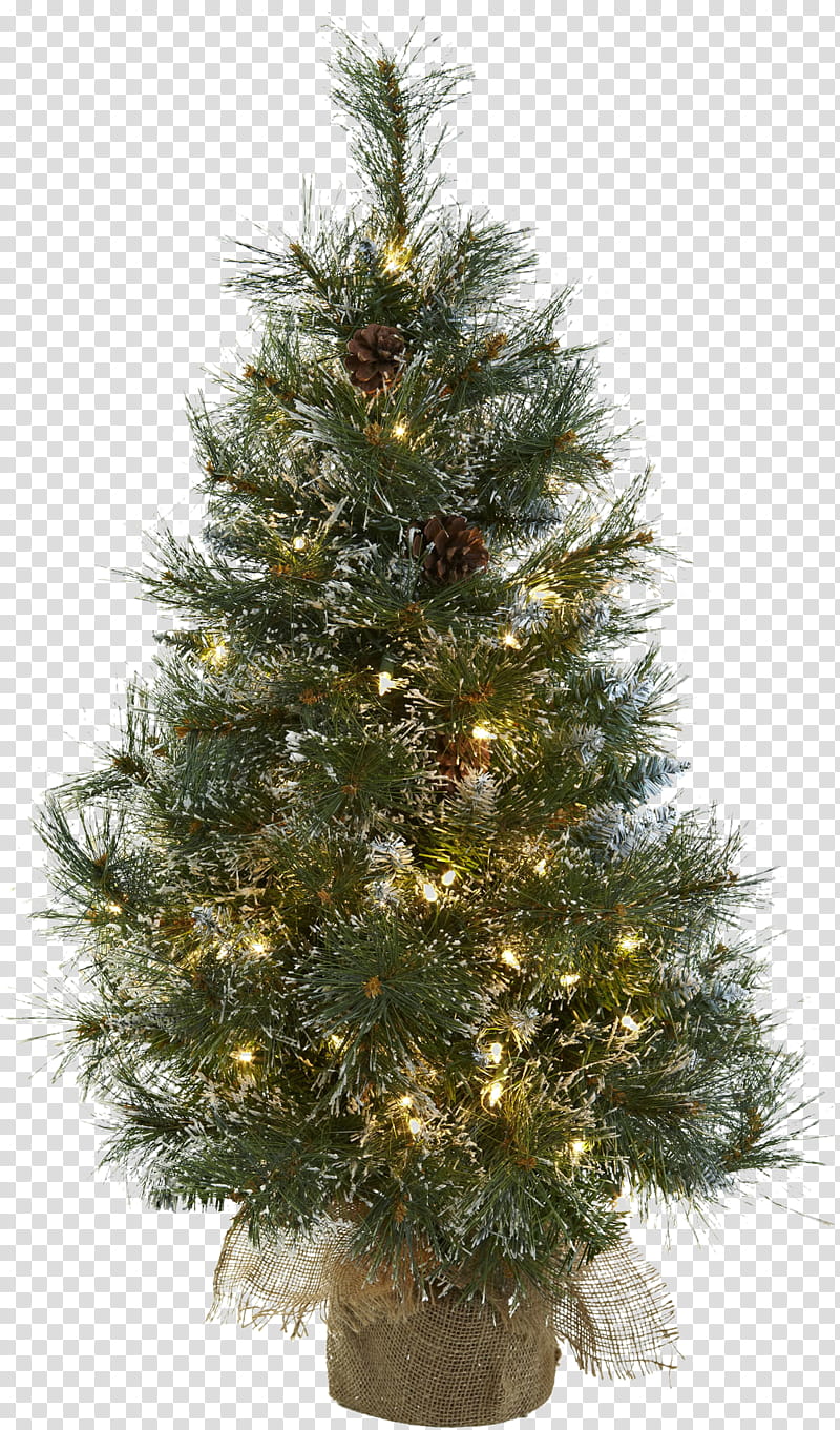 Christmas Black And White, Prelit Tree, Christmas Tree, Artificial Christmas Tree, Christmas Day, National Tree Company, Nordmann Fir, Conifer Cone transparent background PNG clipart
