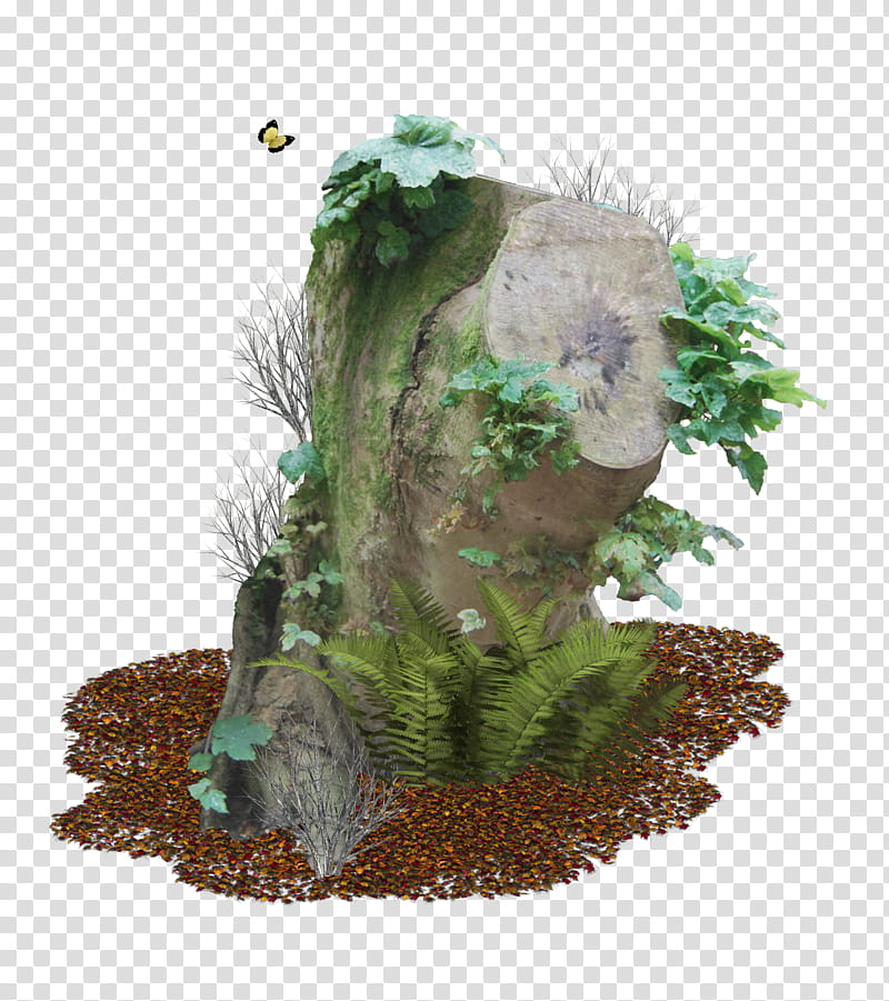 Tree Stump, green leafed plant on brown wood transparent background PNG clipart