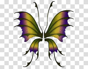 Wings Set 05 transparent background PNG clipart thumbnail